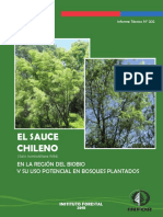 El Sauce Chileno: en La Región Del Biobio Y Su Uso Potencial en Bosques Plantados