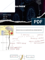 Practico Sistema Nervioso Central
