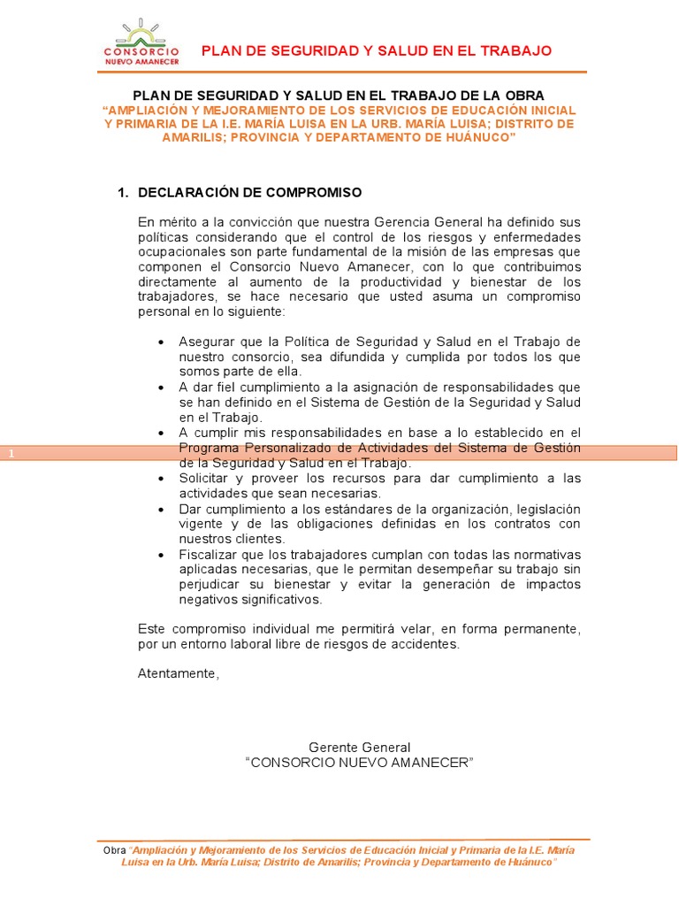 Plan de Seguridad y Salud Laboral en Huánuco | PDF | Seguridad y salud ...