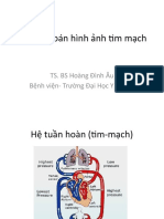 Chẩn Đoán Hình Ảnh Tim Mạch - phần 1