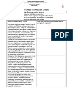 ESTRATEGIAS_COMP_LEC_5°