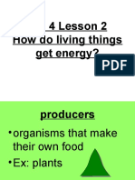 Ch. 4 Lesson 2 How Do Living Things Get Energy?