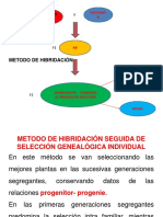 3.2 Fitomejoramiento