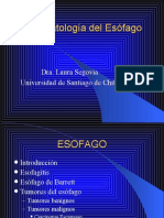 Esofago1 2007