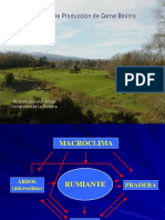 02.-Sistemas de Producccion de Carne Bovina