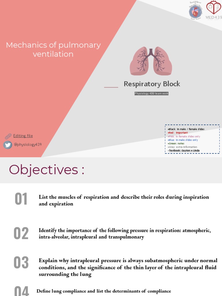 Mechanics of Pulmonary Ventilation | PDF | Lung | Respiratory System