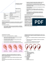 Funciones y características de la placenta