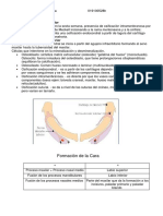 Gnatologia y Oclusion