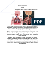 Sistema Respiratório Órgãos