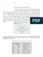 Metabolisme Xenobiotik DEA INTHAY WULAN