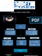 Proyecto y Perfil de Contador Publico