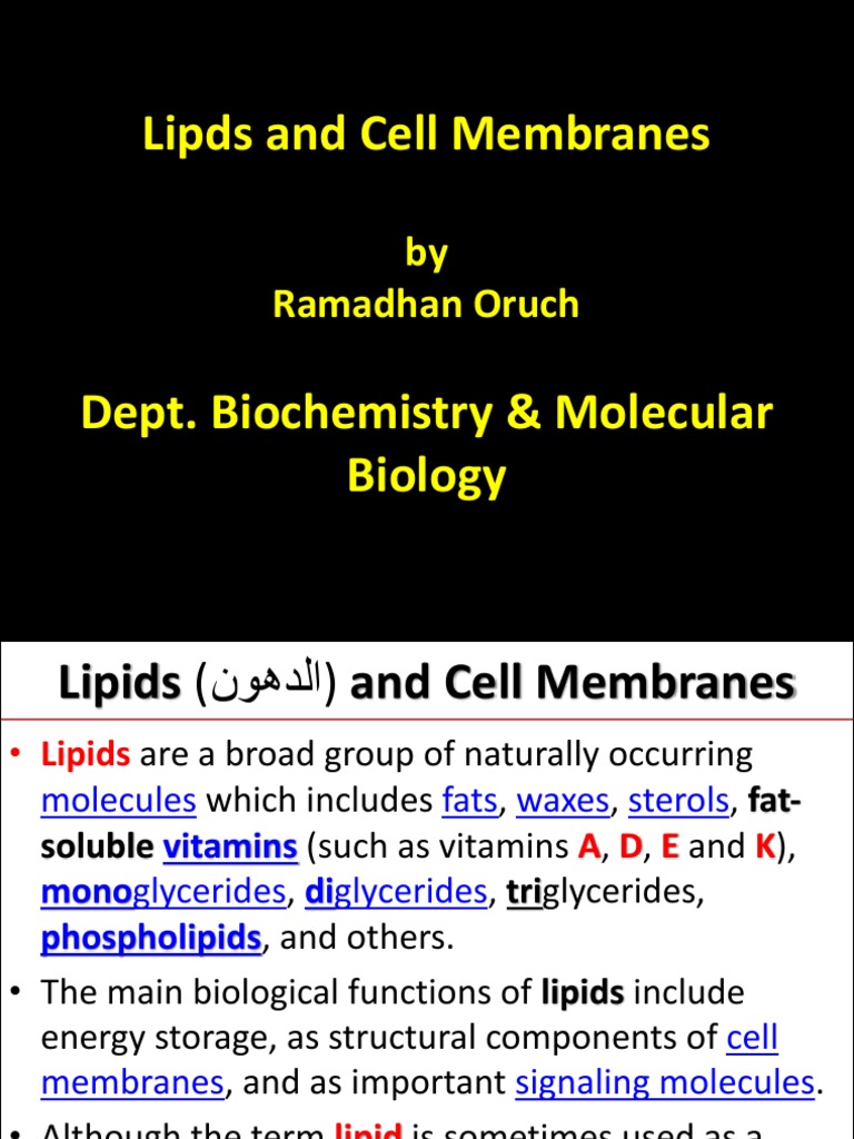 Understanding Lipids and Cell Membranes | PDF | Cell Membrane | Lipid