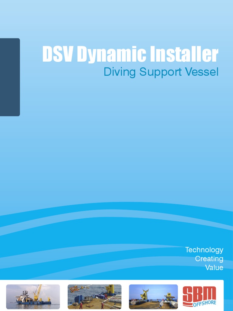 DSV Dynamic Installer Overview | PDF | Nature