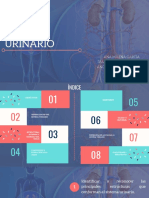 Resumen Sistema Urinario