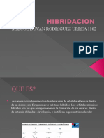 HIBRIDACION