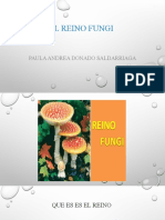 Reino Fungi