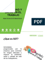 SST Presentación Practicas