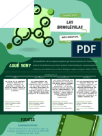 Las Biomoléculas: Mapa Conceptual