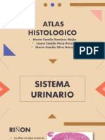 Atlas Histologico