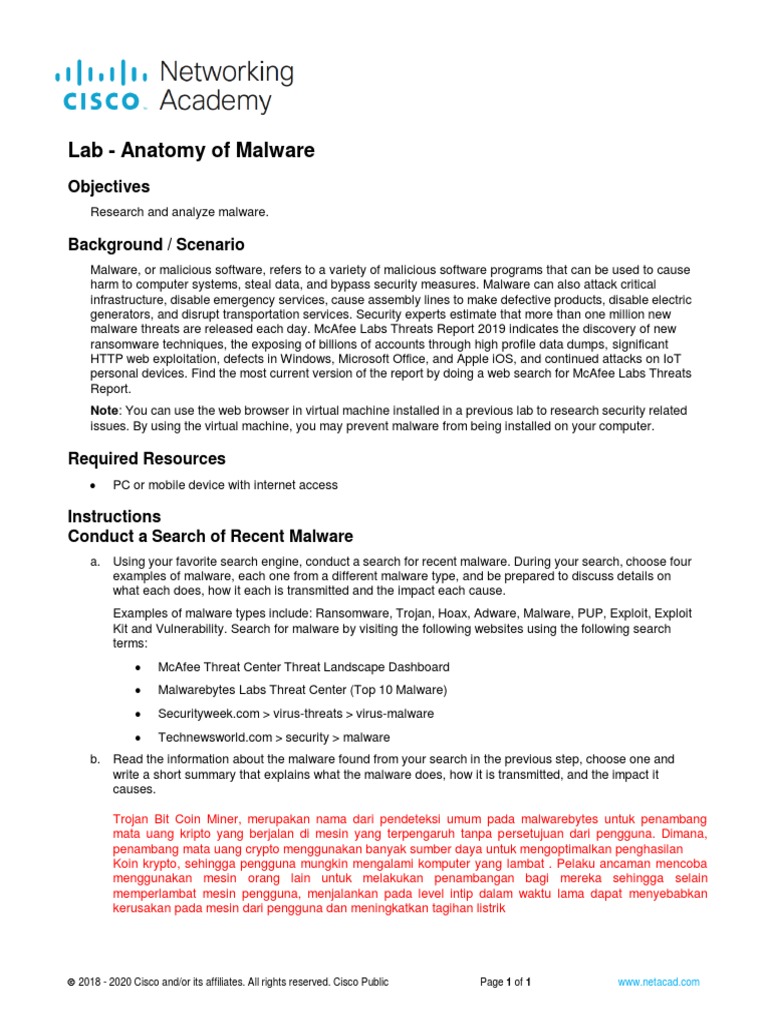 14.1.11 Lab - Anatomy of Malware | PDF | Malware | Ransomware