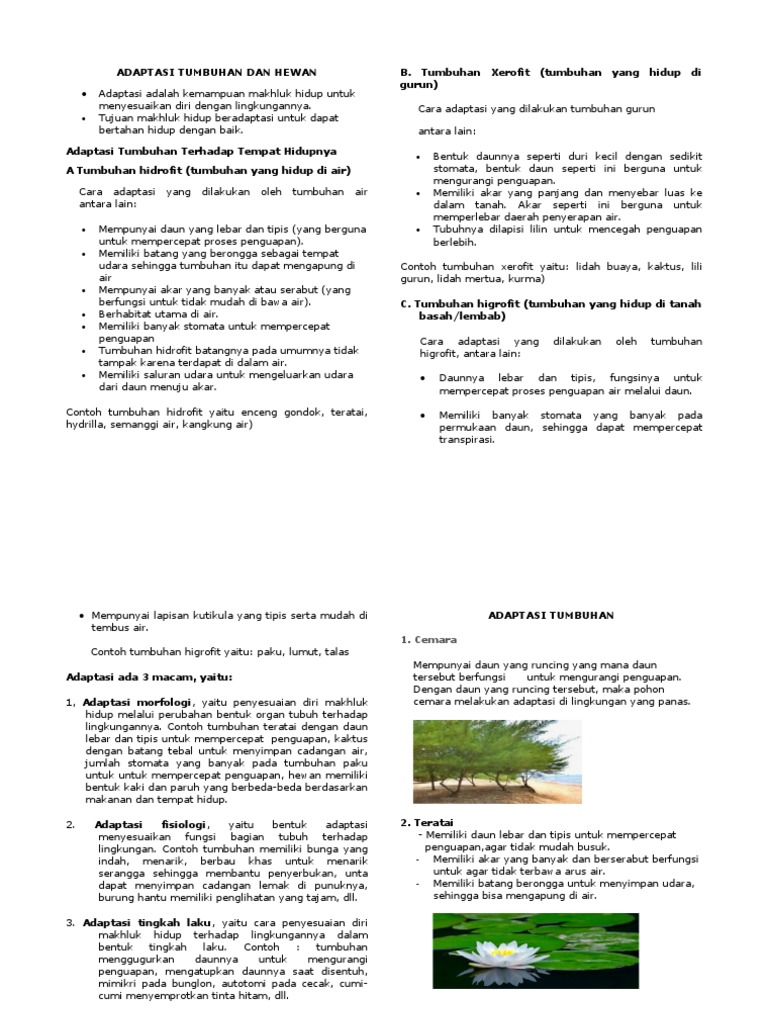 Materi Ipa Kelas 5 Pdf