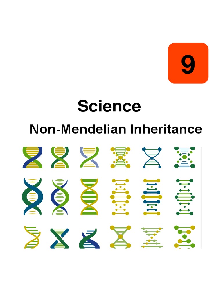 Non-Mendelian Inheritance Patterns | PDF | Dominance (Genetics) | Zygosity