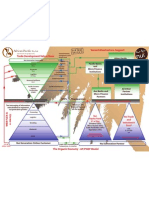 Organic Economy NUI AP Model