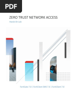 Zero Trust Network Access: Hands On Lab