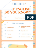 Modue 0: What English Do You Know?