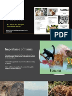 Importance of Fauna in Grasslands - By Suhana, Hiya, Manogana, Prince, Bhargav and Zain