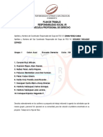 Plan de Trabajo Rsu Viii