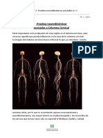 Cervical Tests for Median Nerve Mobilization