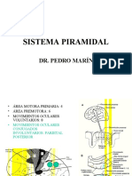 Sistema Piramidal y Extrapiramidal. Dr. Pedro Marín