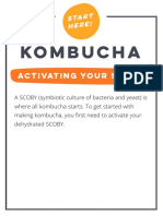Kombucha Instructions Updated 102219