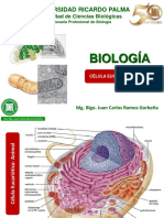 Celula Eucariotica Parte 2-3