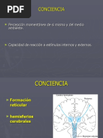 Valoración del Estado de Conciencia | PDF | Conciencia | Enfermedades y ...