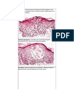 01 - 4 Imágenes de La Clase de Anatomia (Pathology of The Skin. PH. MacKee)