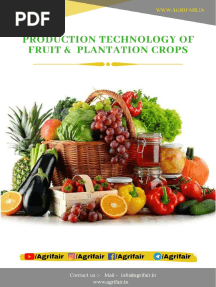 Production Technology of Fruit and Plantation Crops