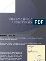 Sistema renina angiotensina