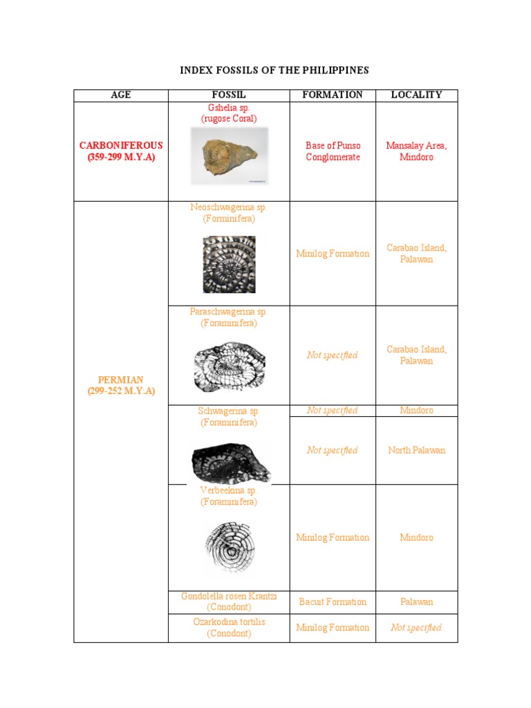 Index Fossils of The Philippines PDF Paleontology Earth Sciences