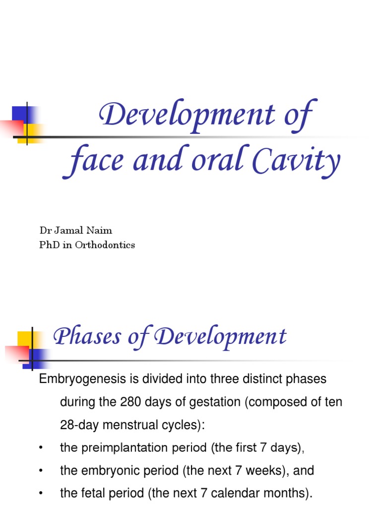Embryonic Development of the Face | PDF | Human Nose | Zoology