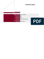 TrialBalance - Trial Balance Report