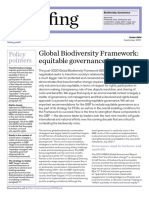 BR Fing: Global Biodiversity Framework: Equitable Governance Is Key