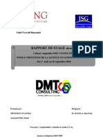 Rapport de Stage DMT Consulting