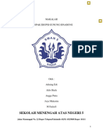 MAKALAH Indonesia Gunung Sinabung 4 PDF