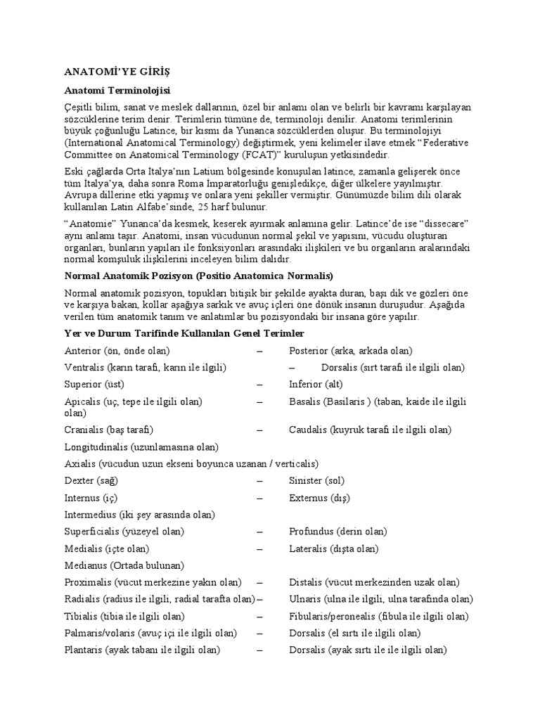 Anatomi Giriş | PDF