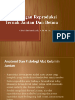 Pertemuan II Sistem Organ Reproduksi Ternak Jantan Dan Betina