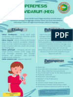Hiperemesis Gravidarum (Heg)
