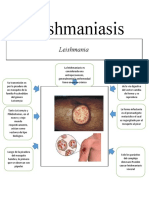 Leishmania Is