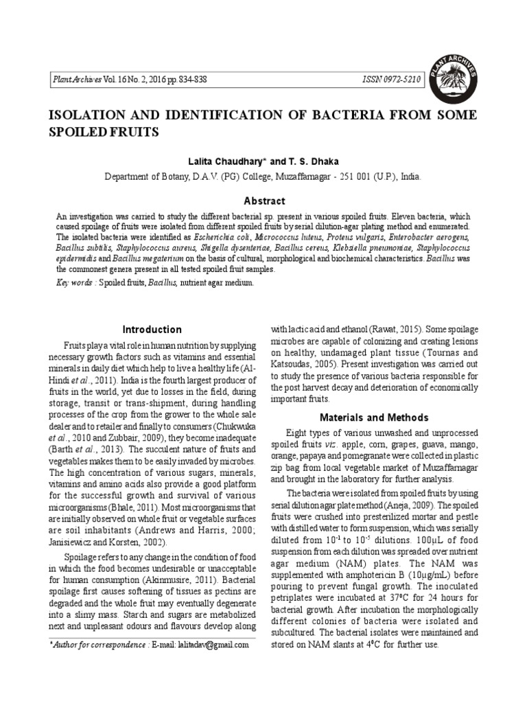Bacterial Isolation from Spoiled Fruits | PDF | Bacteria | Bacillus